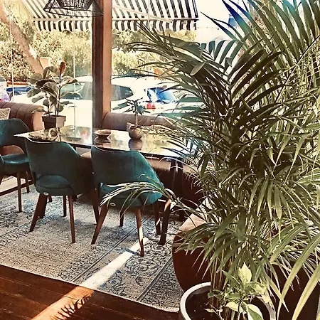 Maison 66, Riviera