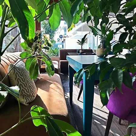 Maison 66, Riviera Otel 3*